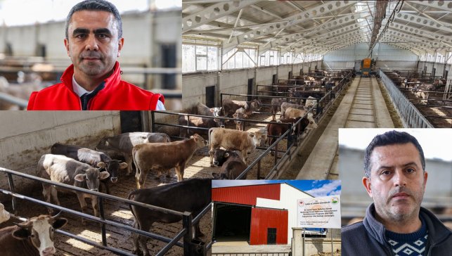 Erzurum’da devlet hibesiyle kurulan modern ahırlar besicilikte verimi artırıyor