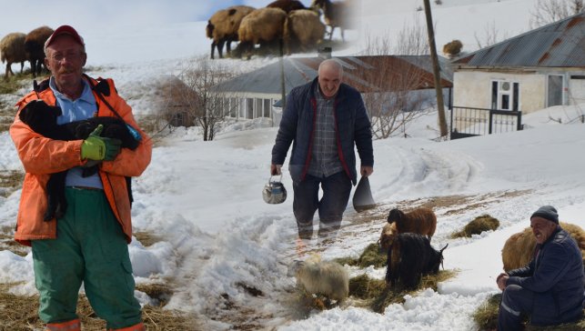Varto’da Gölyayla ve Alabalık köylerinde nisan ayında 2-3 metre kar