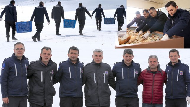 Erzurum’da infaz koruma memurları, karlı arazilerde yaban hayvanlarını besliyor