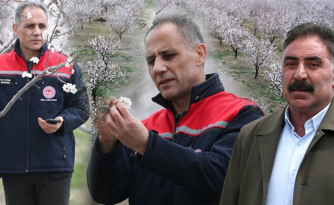 Kars'ta tarım ekipleri, zirai don riskine karşı kayısı üreticilerini sahada bilgilendiriyor