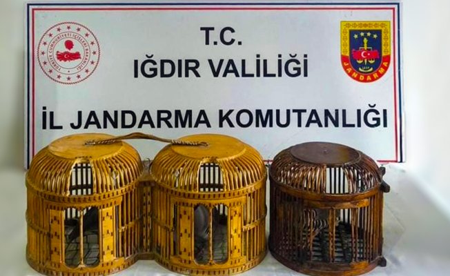 Iğdır'da kaçak keklik avına ağır ceza: 3 kişiye 72 bin 829 lira kesildi
