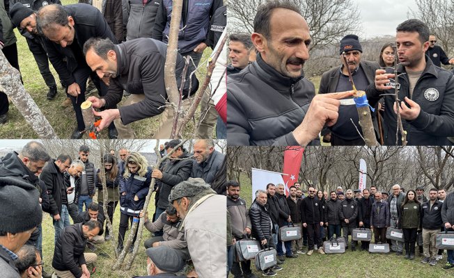 Ardahan'da meyve üretimini artırmak için üreticilere budama ve aşılama eğitimi veriliyor