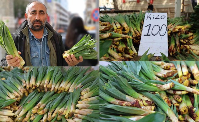 Çiriş otu (Gulik) tezgahlarda, Elazığ'da kilosu 100 liradan satışa çıktı