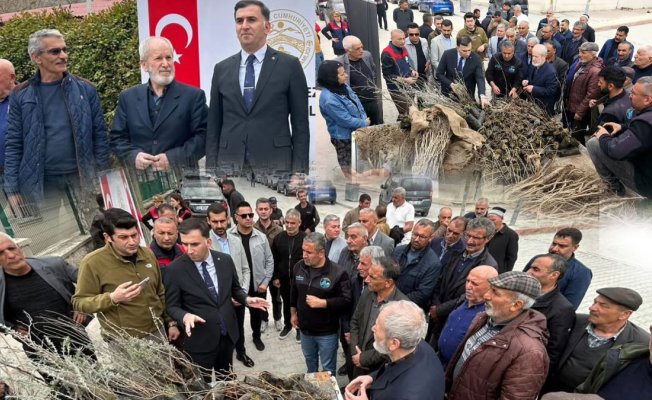 Çemişgezek'te vatandaşlara 800 ücretsiz fidan dağıtıldı