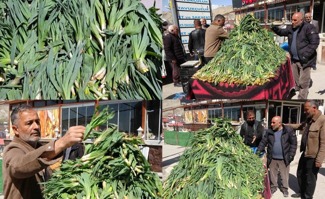 Van'da çiriş otu tezgahlarda yerini aldı: Kilosu 100 TL'den satılıyor