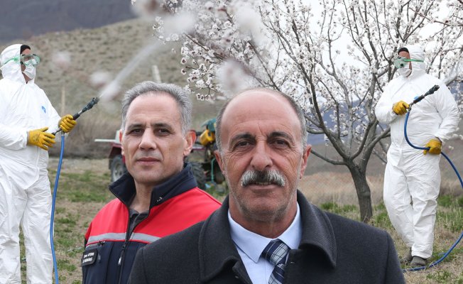 Kağızman'da çiçek açan kayısı bahçelerinde ilaçlama başladı: Üretici don ve hastalığa karşı nöbette