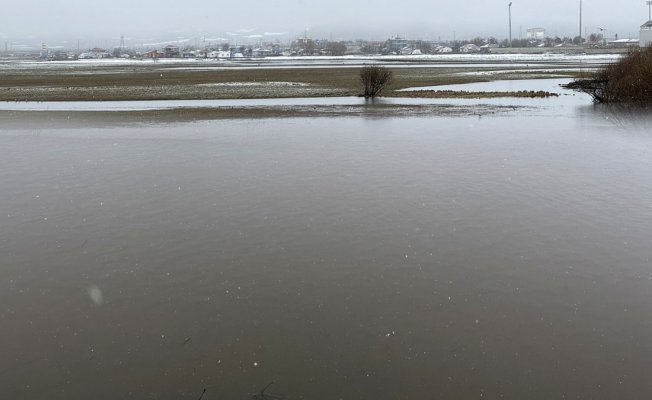 Ardahan'da yağışlar Kura Nehri'nin debisini yükseltti, bazı mera alanları su altında kaldı