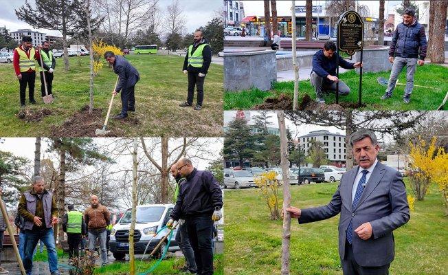 Erzincan'da okul saldırısında yaşamını yitirenler için 2 "masumiyet çınarı" dikildi