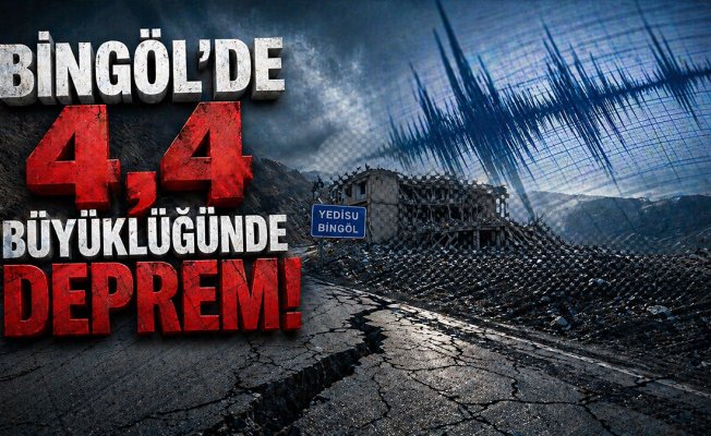 Bingöl Yedisu'da 4,4 Büyüklüğünde Deprem: İlk İncelemede Kayıp Tespit Edilmedi