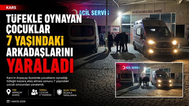 Kars'ta Çocukların Oynadığı Tüfek Kazara Ateş Aldı, 7 Yaşındaki Çocuk Yaralandı