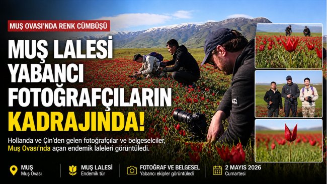 7 bin kilometre yol katettiler: Endemik Muş lalesi yabancı ekiplerin kadrajında