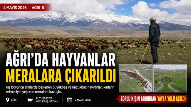 Ağrı'da zorlu kışın ardından sürüler aylar sonra meralara çıktı