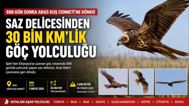 Iğdır'da uyduyla izlenen saz delicesi 688 günde 30 bin kilometre uçup Aras Kuş Cenneti'ne döndü