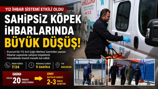 Erzurum'da sahipsiz köpek ihbarları 112 sistemiyle haftada 2-3'e düştü