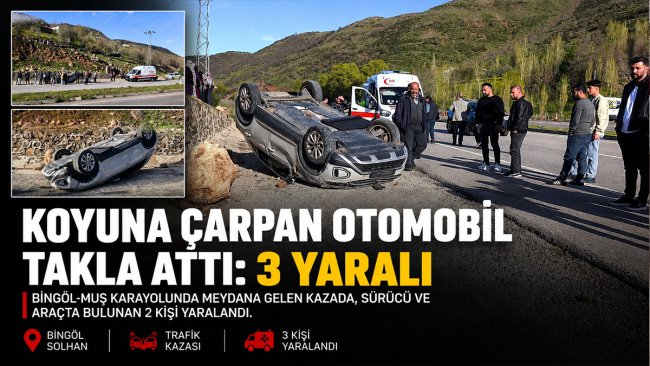Solhan'da koyuna çarpan otomobil devrildi, 3 kişi yaralandı