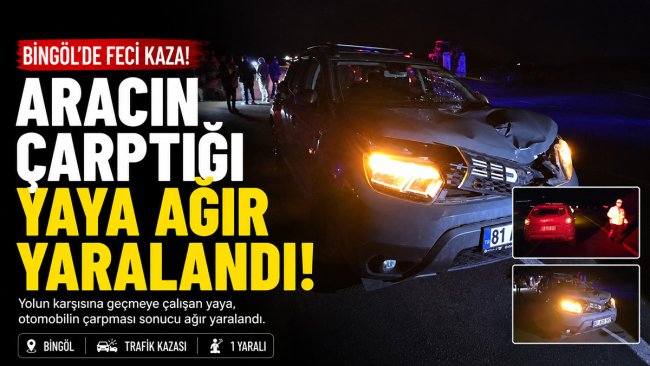 Bingöl'de karşıya geçmeye çalışan yayaya otomobil çarptı: Ağır yaralandı