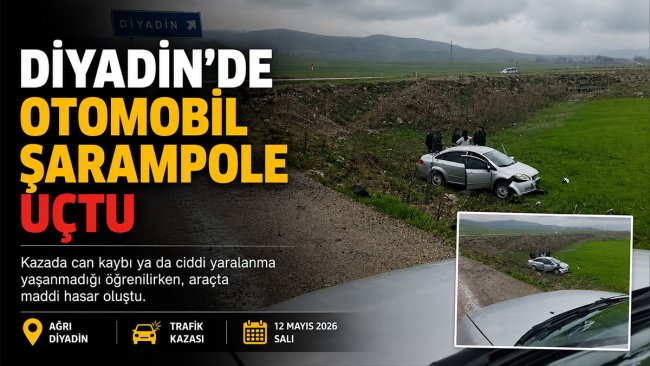Diyadin'de kontrolden çıkan otomobil şarampole uçtu