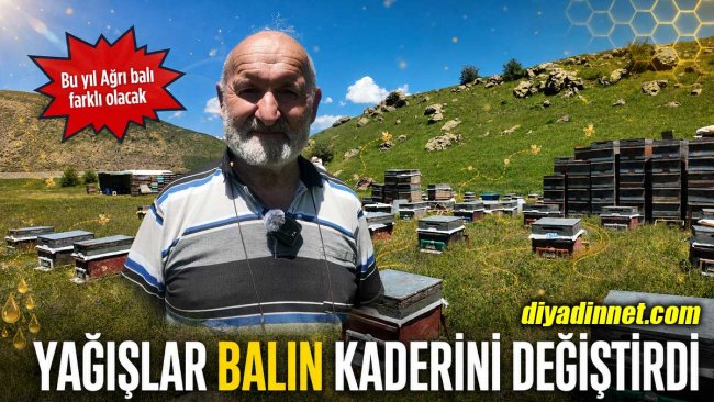 Ağrı yaylalarında arıcılar bal üretimi sezonuna 15 gün geç başladı