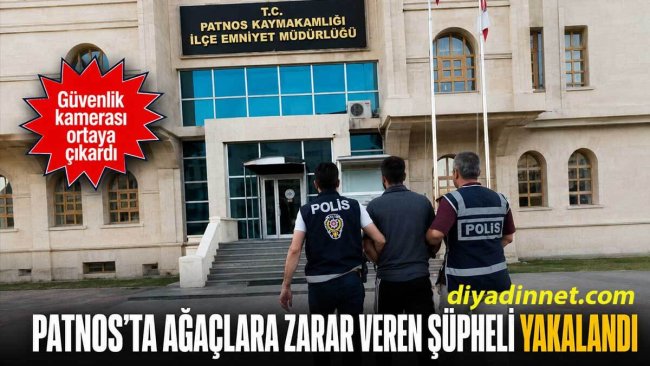 Patnos'ta Kaldırım Fidanlarını Söken Şüpheli Yakalandı