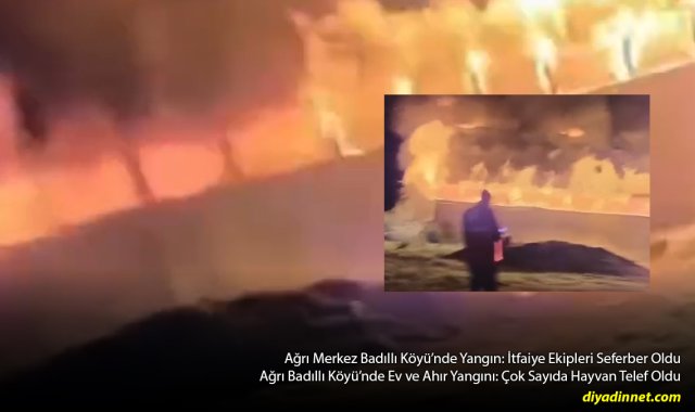 Ağrı Badıllı Köyü'nde Ev ve Ahır Yangını: Çok Sayıda Hayvan Telef Oldu