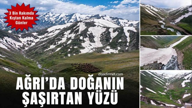 Ağrı'da 3 Bin Rakımda Şaşırtan Manzara: Yaz ve Kış Aynı Anda Yaşanıyor