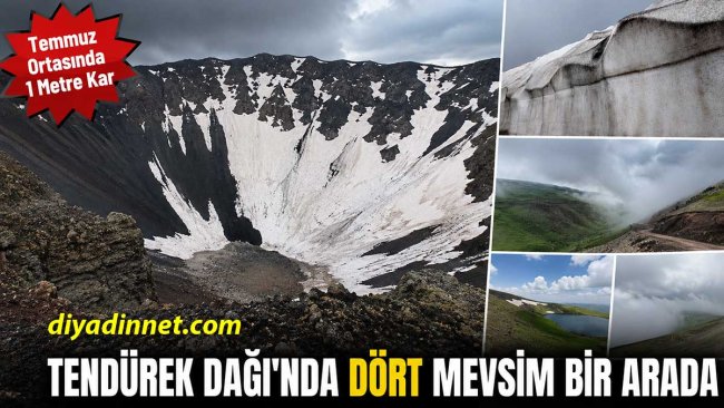 Ağrı-Van Sınırındaki Tendürek Dağı'nda Temmuz Ortasında Dört Mevsim Bir Arada