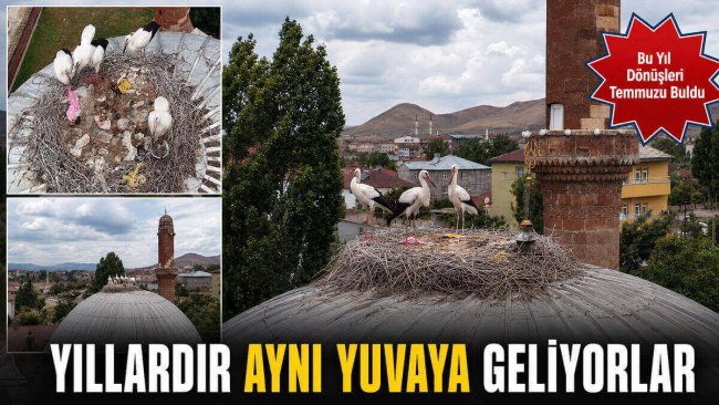 Her Yıl Baharda Geliyorlardı: Patnos'un 4 Leyleği Temmuzda Döndü