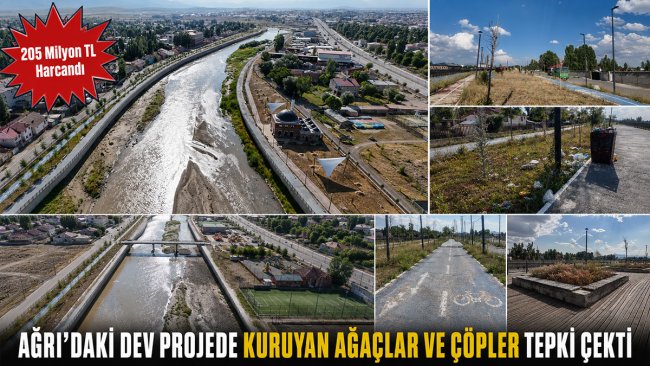 205 Milyon TL Harcandı: Ağrı'daki Dev Projede Kuruyan Ağaçlar ve Çöpler Tepki Çekti