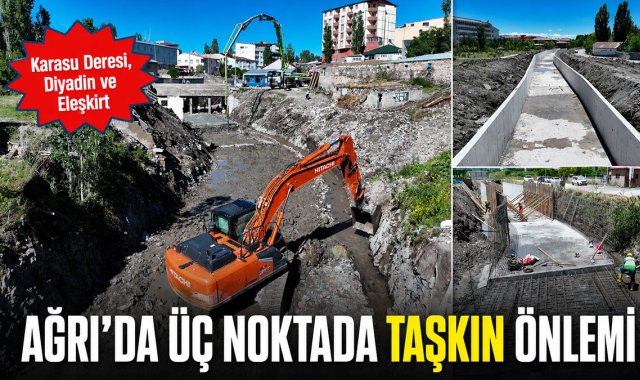 Ağrı Merkez, Diyadin ve Eleşkirt'te DSİ Taşkın Kontrol Çalışmaları Sürüyor