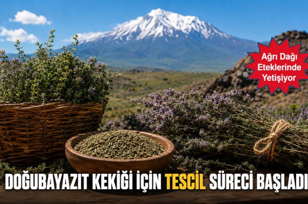 Doğubayazıt Kekiği Coğrafi İşaretle Koruma Altına Alınıyor: Tescil Süreci Başladı