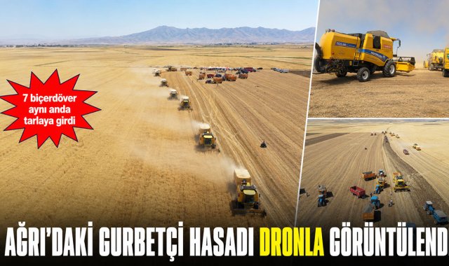7 Biçerdöver Aynı Anda Tarlaya Girdi: Gurbetçilerin Desteğiyle Ağrı'da Bereketli Hasat