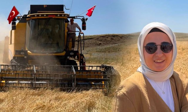 Taşlıçay Kaymakamı Kübra Baka Kılıç Tarlaya İndi, Arpa Hasadına Katıldı