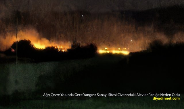 Sanayi Sitesi Civarında Korku Dolu Gece: Ağrı Çevre Yolundaki Yangın Paniğe Neden Oldu