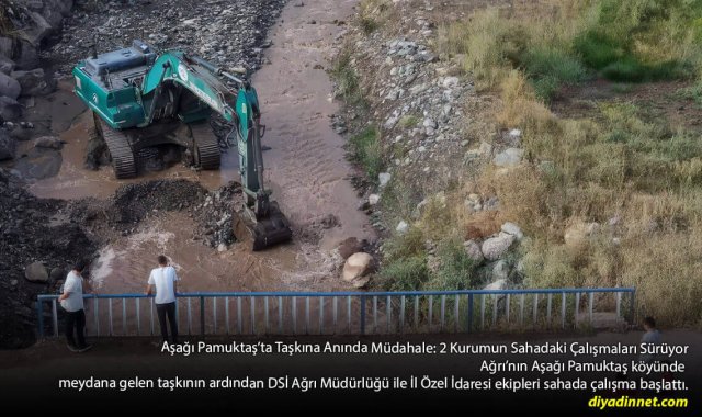 Ağrı'da Taşkına Hızlı Müdahale: 2 Kurum Aşağı Pamuktaş'ta Seferber Oldu