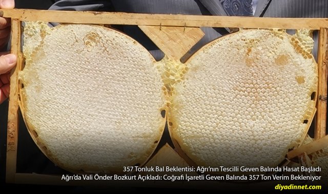 Ağrı'da Bal Bereketi: Tescilli Geven Balında 357 Tonluk Dev Hasat Beklentisi