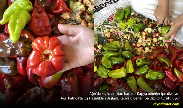 Kapya Biberler Tek Tek İpe Diziliyor: Patnos'ta Kış Hazırlığı Başladı