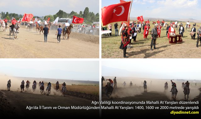 Ağrı'da 3 Ayrı Yarışta Büyük Heyecan: Atçılık Geleneği Yeniden Canlandı