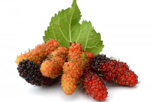 Dut ve Dutun Faydaları