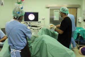 Narrow Band (NBİ) Görüntüleme cihazı