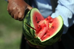 Diyet yapanlara karpuz peynir uyarısı