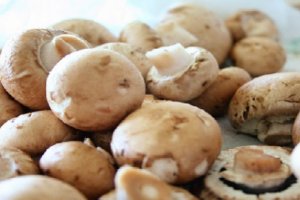 Mantar Zehirlenmeleri