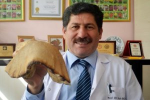 Öldürücü Mantarların Zehirlenme Belirtileri Daha Geç Ortaya Çıkıyor