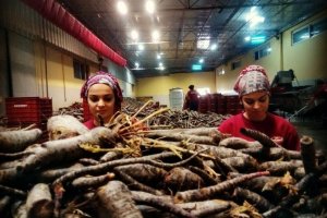 Şifa Niyetine Şalgam