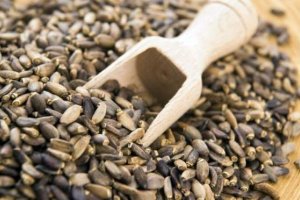 Hepatit C'ye Deve Dikeni