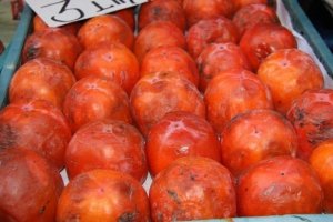 Antibiyotik Yerine Trabzon Hurması