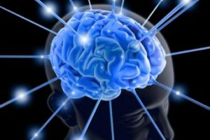 Beyne İyi Gelen Yiyecekler