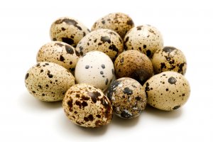 Bıldırcın Yumurtası Faydaları