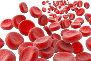 Kansızlığa İyi Gelen Yiyecekler