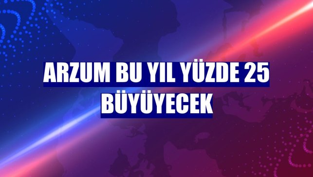 Arzum bu yıl yüzde 25 büyüyecek