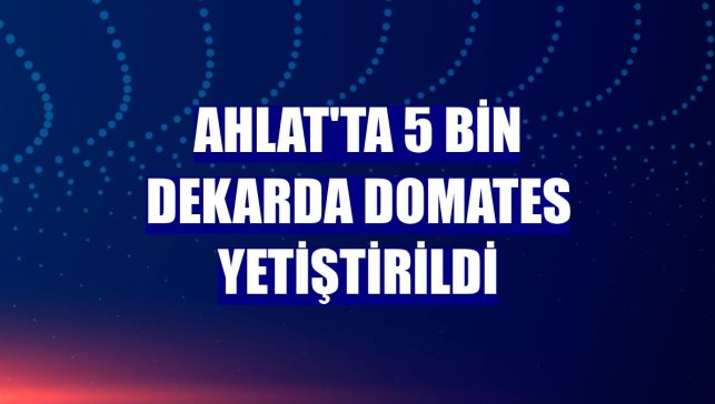 Ahlat'ta 5 bin dekarda domates yetiştirildi